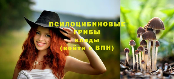 таблы Богородицк