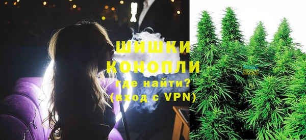 таблы Богородицк