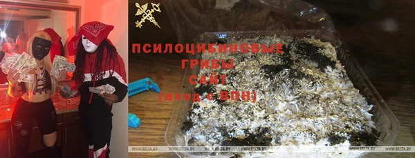 таблы Богородицк