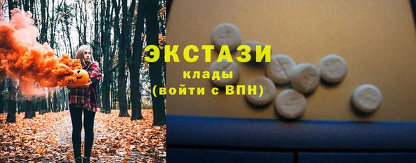 таблы Богородицк