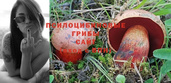 экстази Богородск
